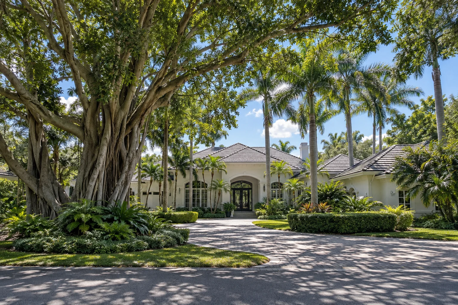 White stucco estate home with a gray roof beneath mature trees and royal palms.
